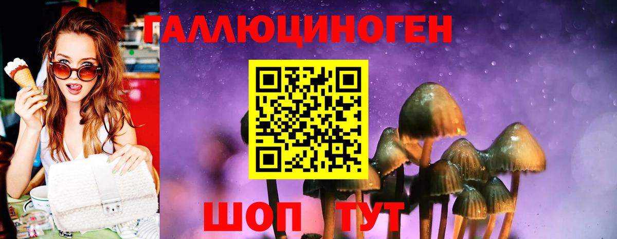 Сергиев Посад  Галлюциногенные грибы Psilocybine cubensis  Вход с VPN 